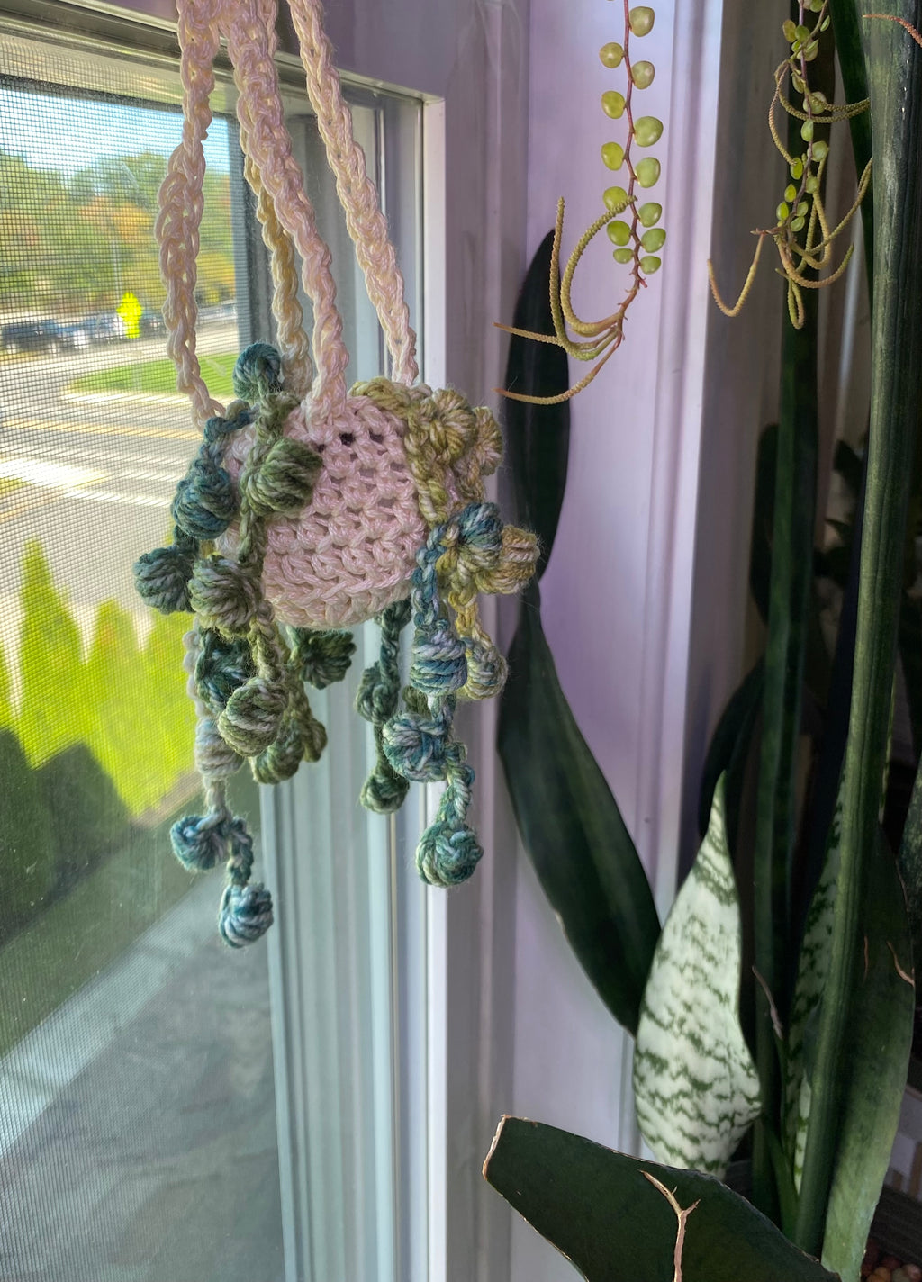 String of Pearls Mini Hanging Plant - Handmade, Crochet